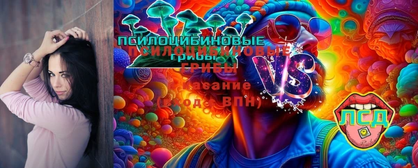 круглые Бронницы